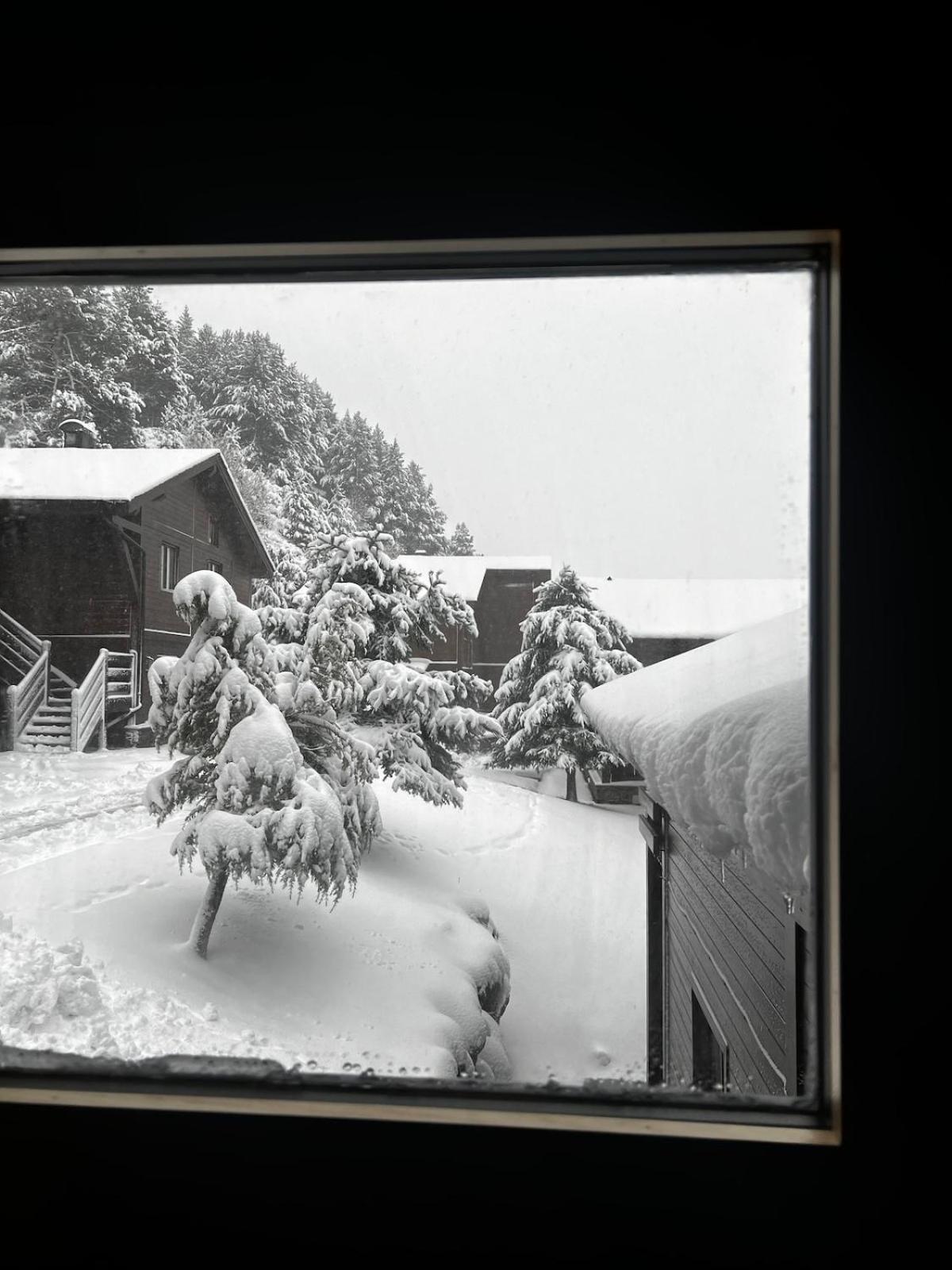 Exclusiva Cabana En Incles - Vistas Al Valle & Pistas De Ski Grandvalira - Free Parking Canillo Bagian luar foto